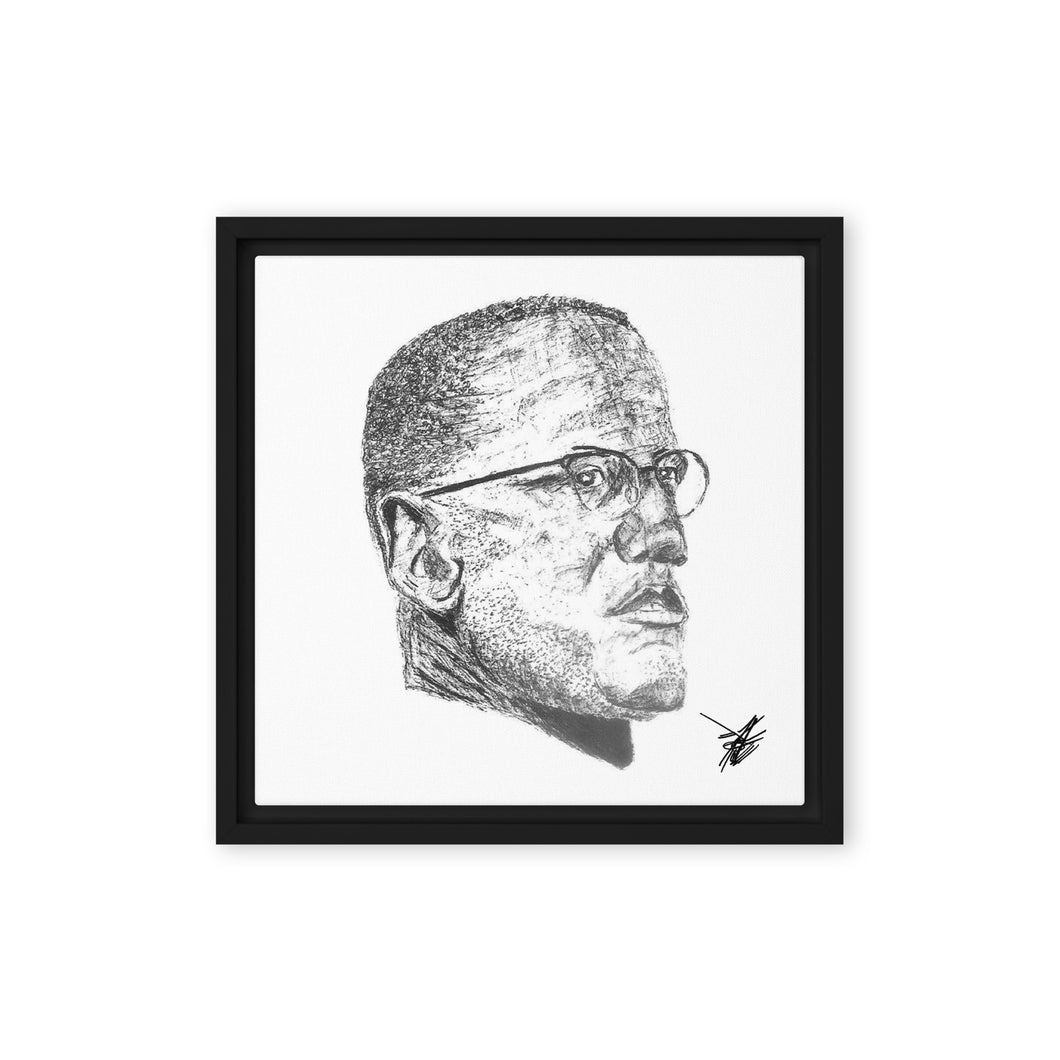 Malcolm X Framed canvas